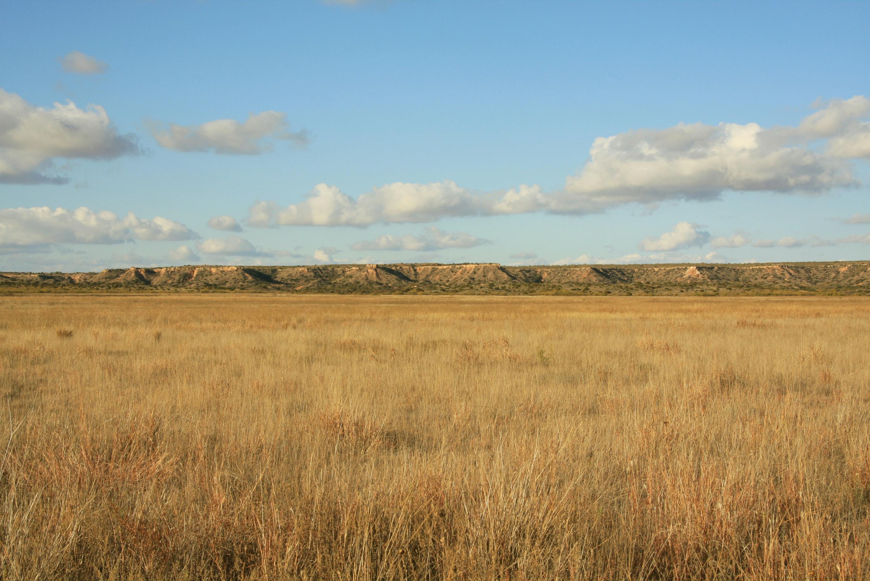 Western Shortgrass Prairie One Earth
